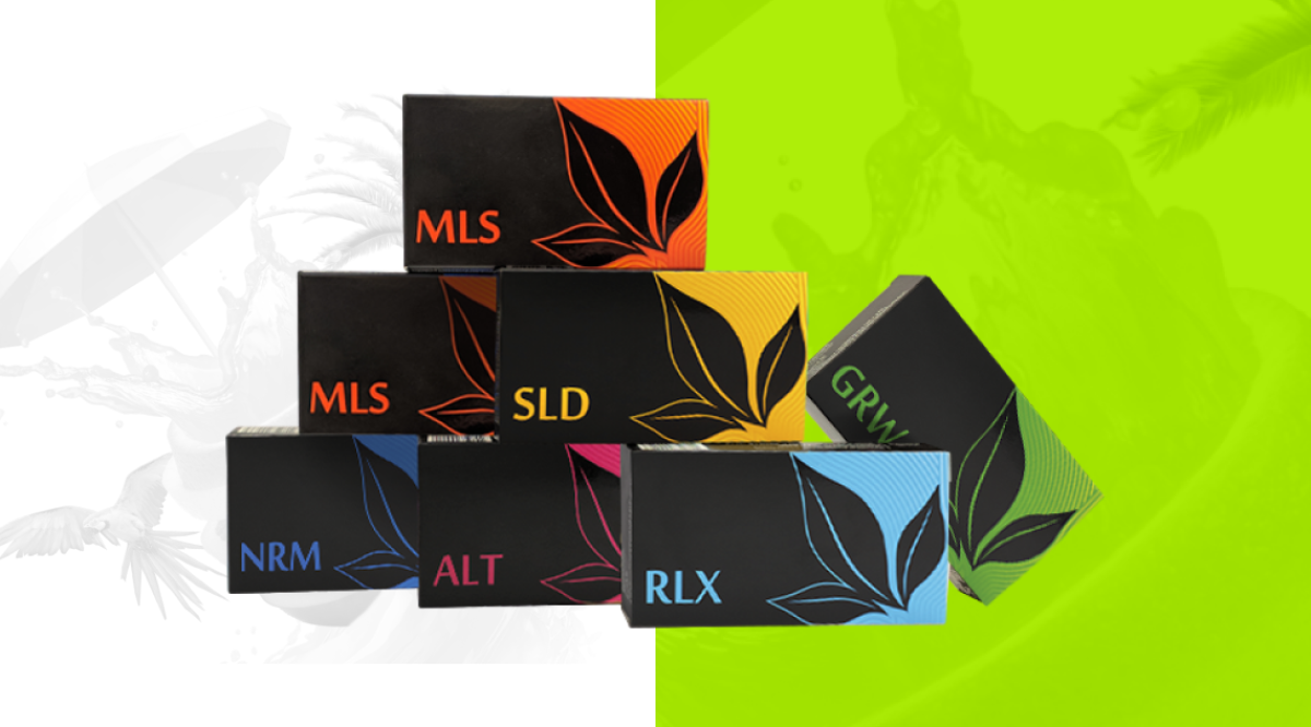 KIT «ЖИТЬ ЖИЗНЬ»