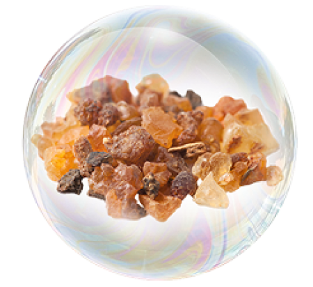 Гуггул экстракт