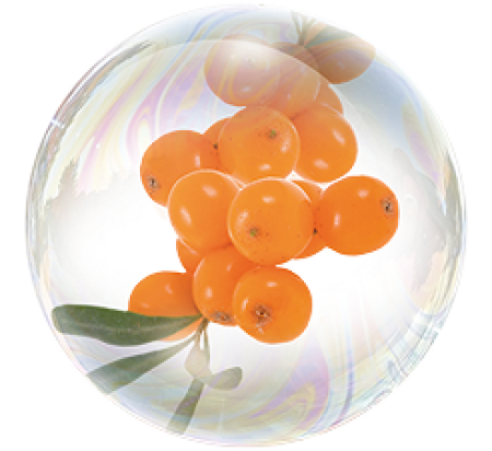 Экстракт облепихи